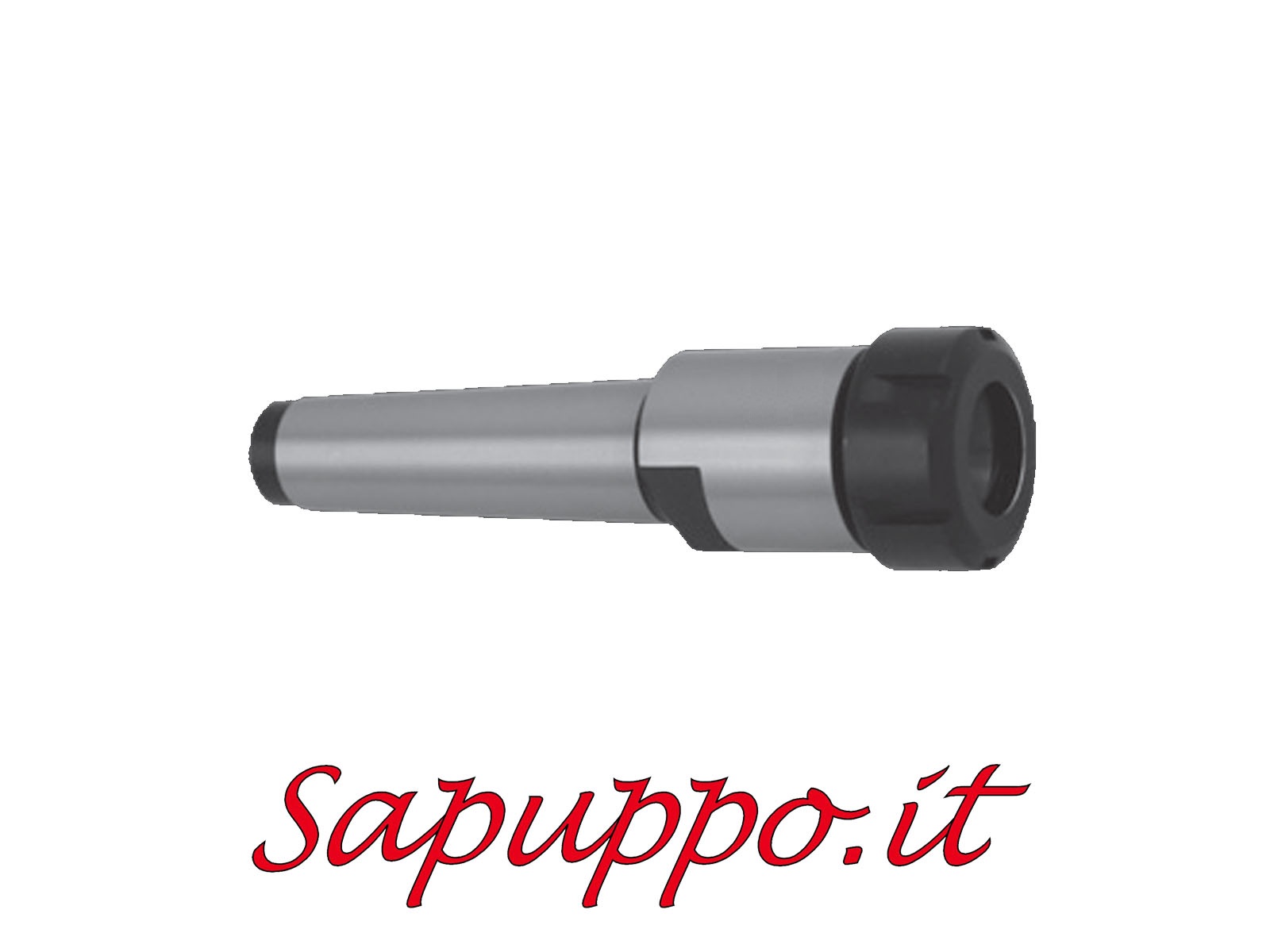 Mandrino Portapinza CM2 ER32